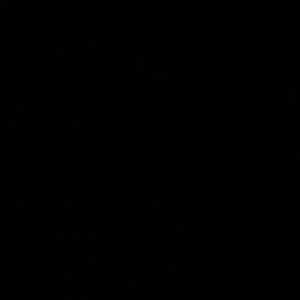 Meet your Posher, Dae